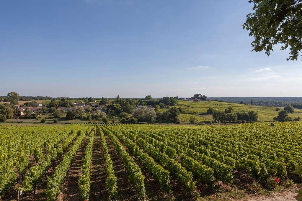 Chateau D'Arche, Grand Cru Classe De سوتيرْنْ المرافق الصورة