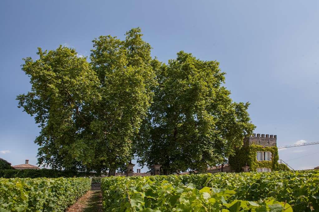 Chateau D'Arche, Grand Cru Classe De سوتيرْنْ المرافق الصورة