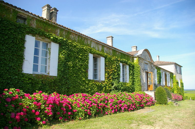 Chateau D'Arche, Grand Cru Classe De سوتيرْنْ المظهر الخارجي الصورة