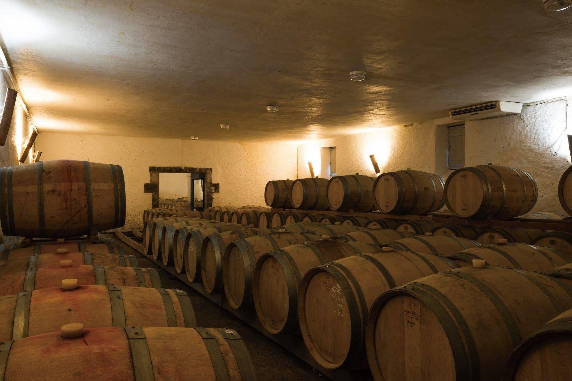 Chateau D'Arche, Grand Cru Classe De سوتيرْنْ المظهر الخارجي الصورة