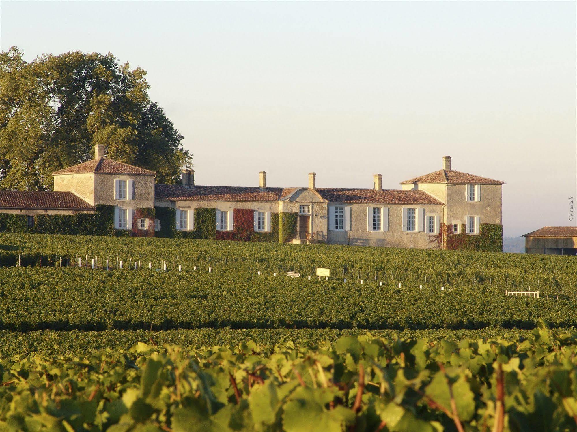 Chateau D'Arche, Grand Cru Classe De سوتيرْنْ المظهر الخارجي الصورة